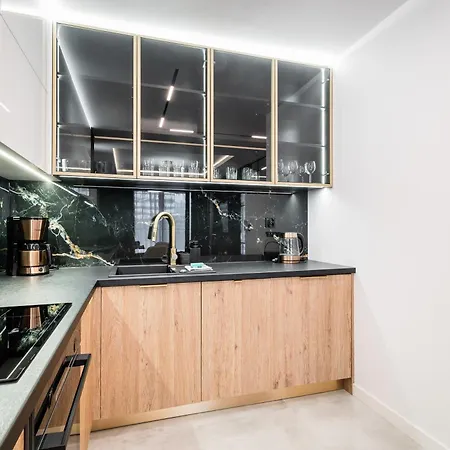 Apartment Greendustry Zablocie Luxury Wawelofts *